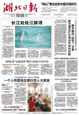 湖北日报